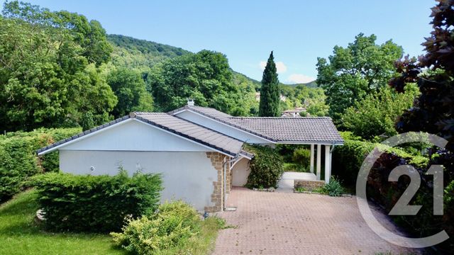 maison - VILLEMOIRIEU - 38